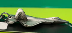 Side View of F-22