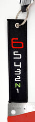 Gear Selection 6 5 4 3 2 N 1 Embroidered Keychain